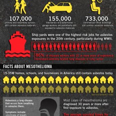 Asbestos Infographic Asbestos Infographic