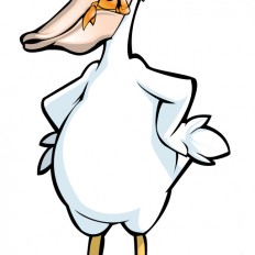 Pelican Illustration Pelican Illustration