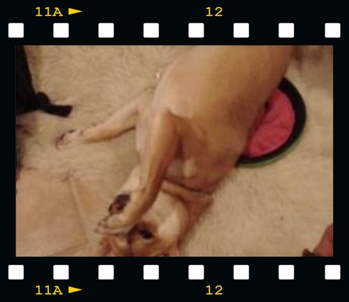 viral video how-to viral video how-to