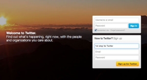 1st steps for Twitter marketing