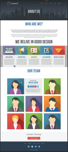 about us conversion optimization