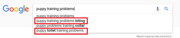Google Search Identify Problems