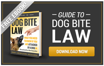 Dog Bite Law Ebook CTA
