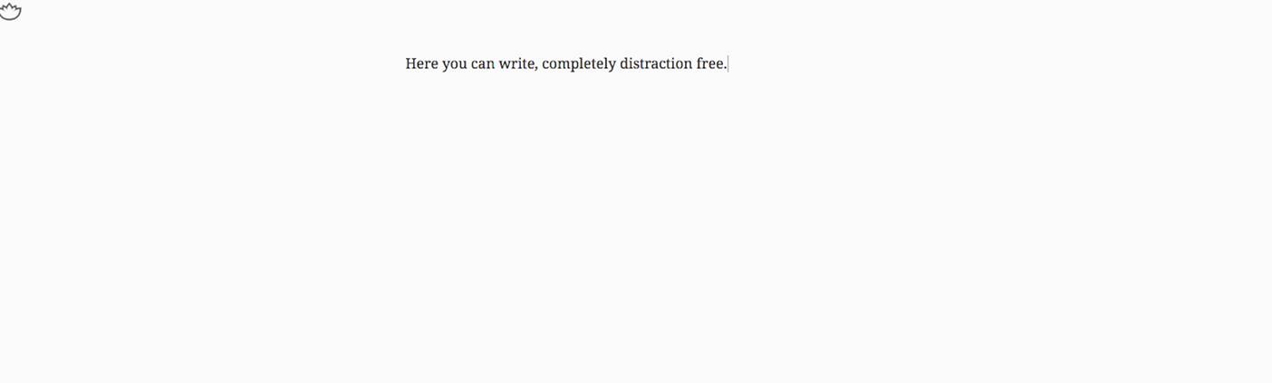 Distraction Free Writing