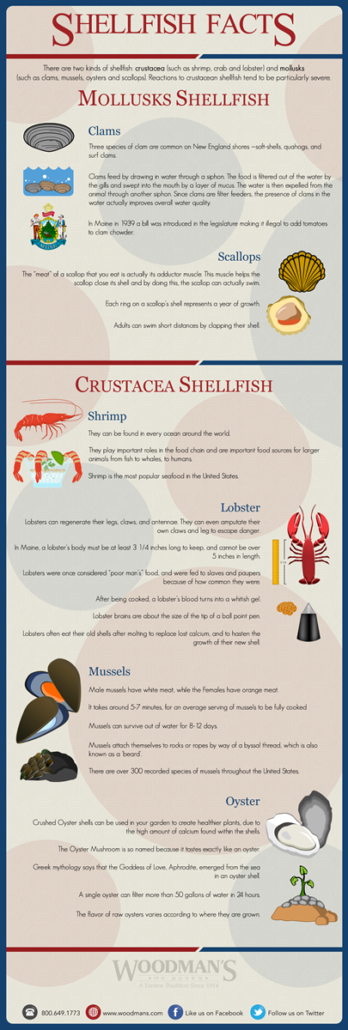 Shell Fish Infographic
